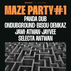 MAZE PARTY